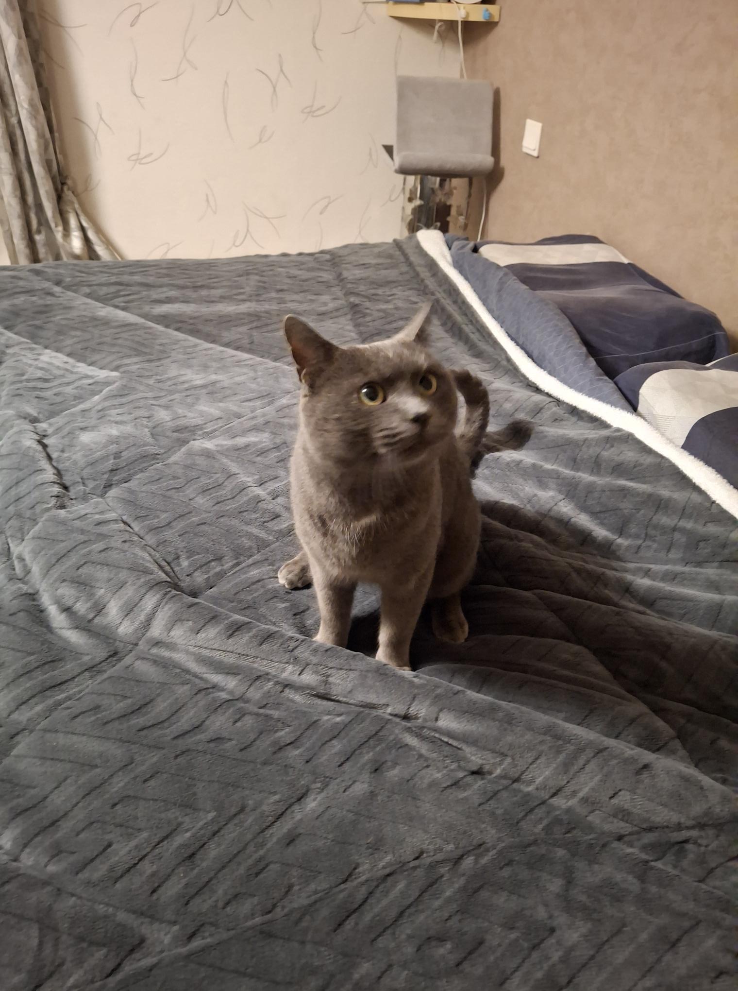 Nounours des nouvelles.