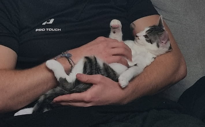 Des nouvelles de Alibaba, devenu Pito