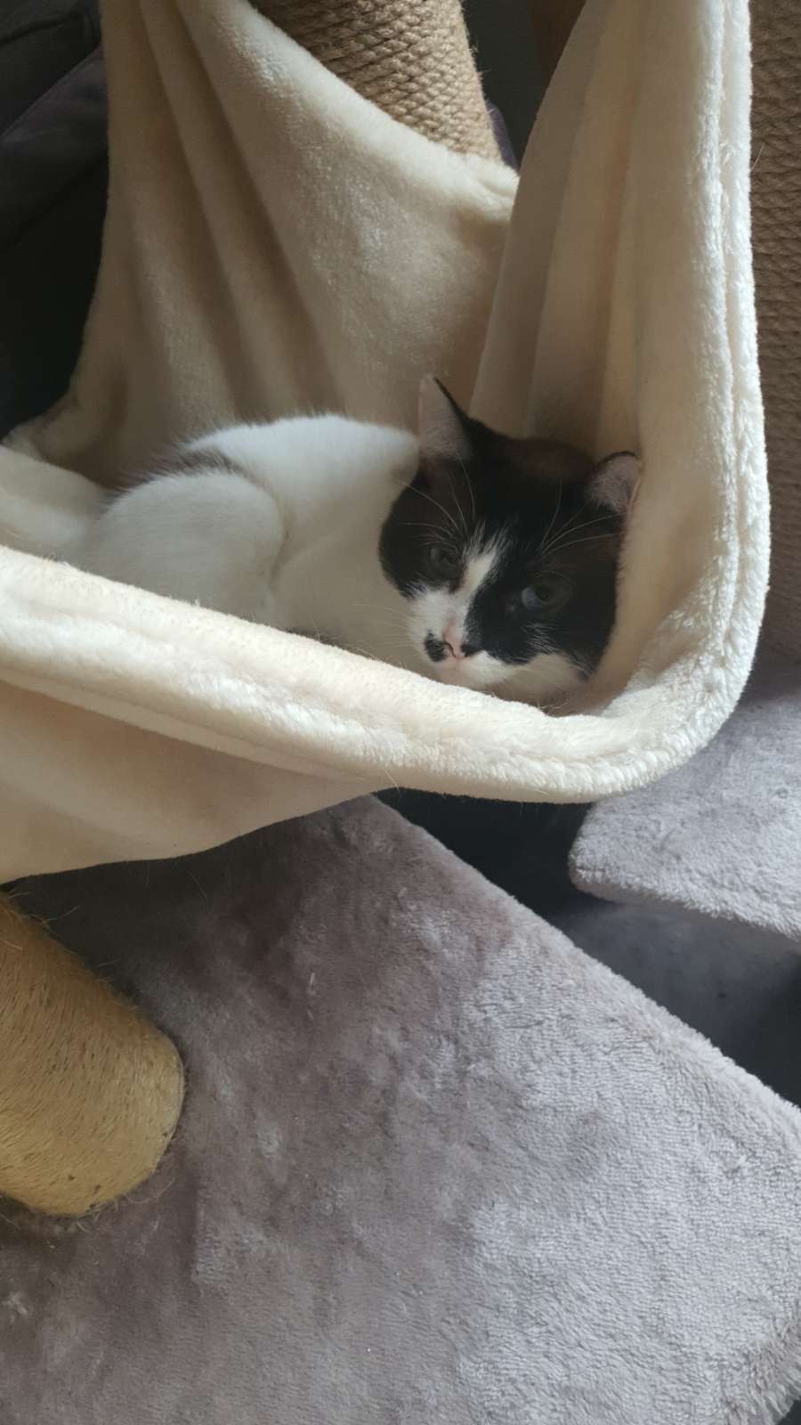 Des nouvelles de Leyla et Zéline.