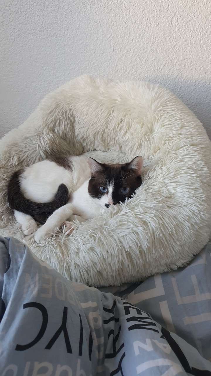 Des nouvelles de Leyla et Zéline.