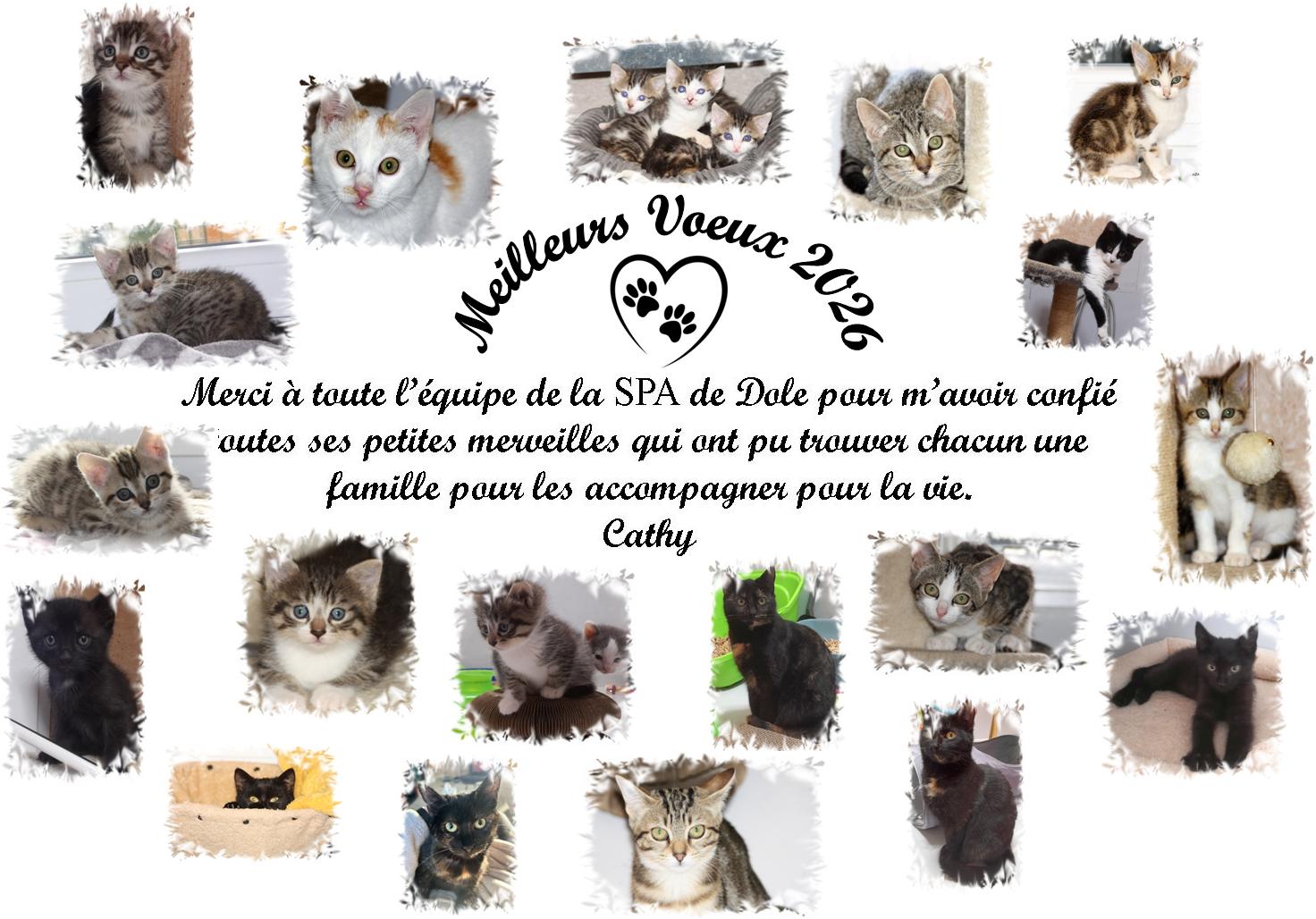 Meilleurs voeux 2026