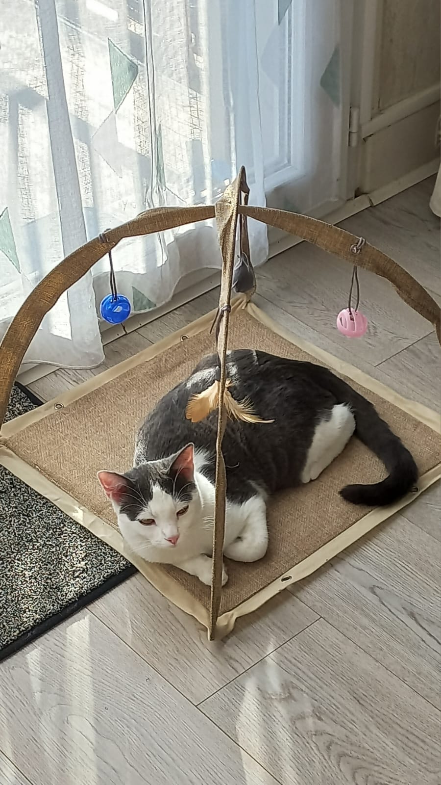 Saphir très précieux.