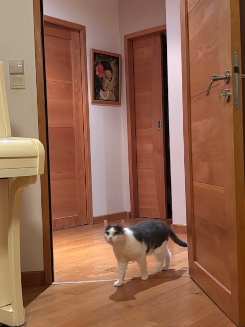 Des nouvelles d'Ungaro