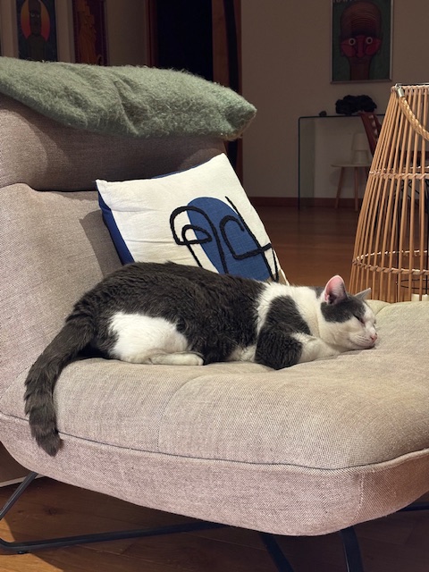 Des nouvelles d'Ungaro