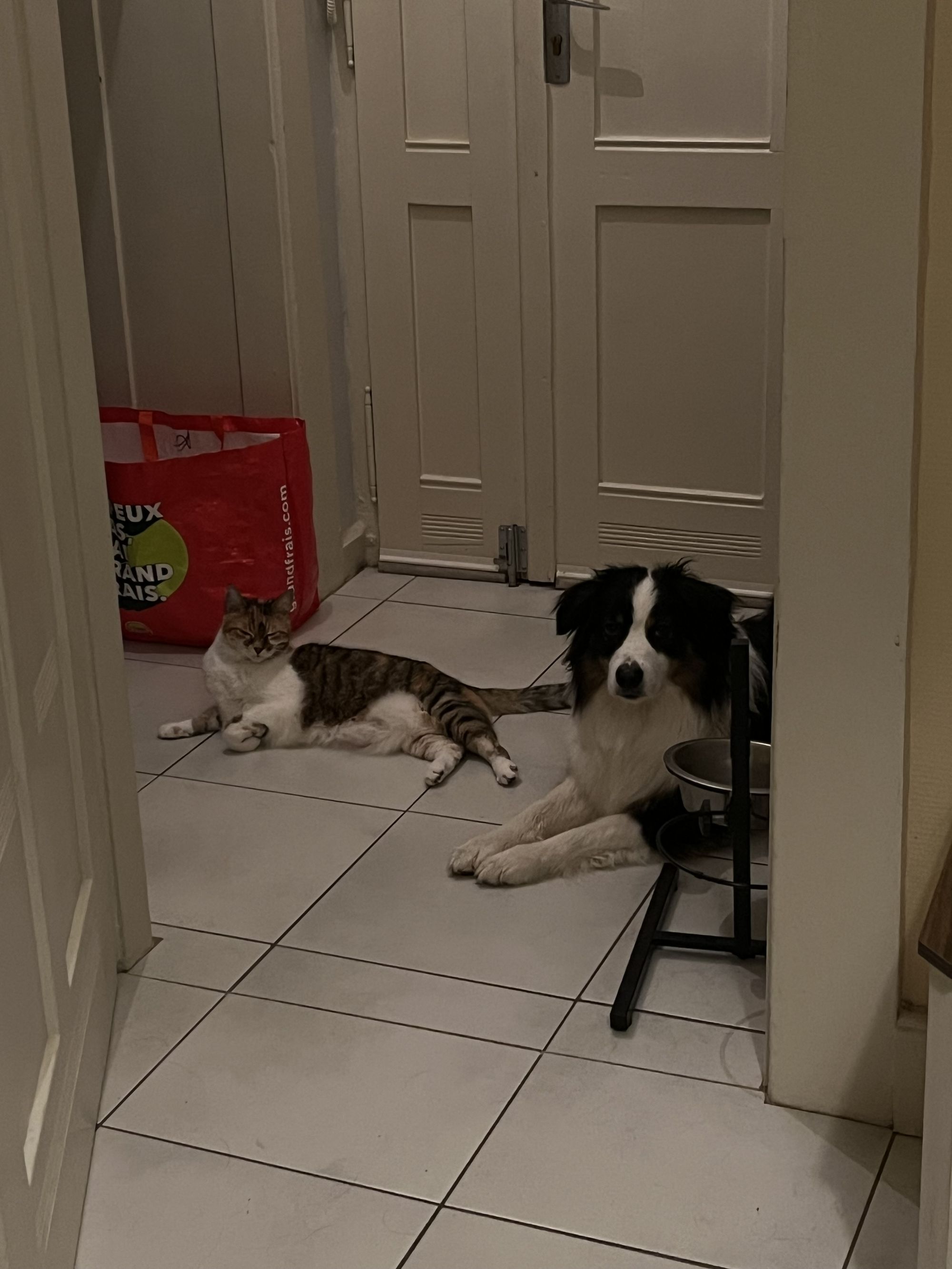 Des nouvelles de Câline