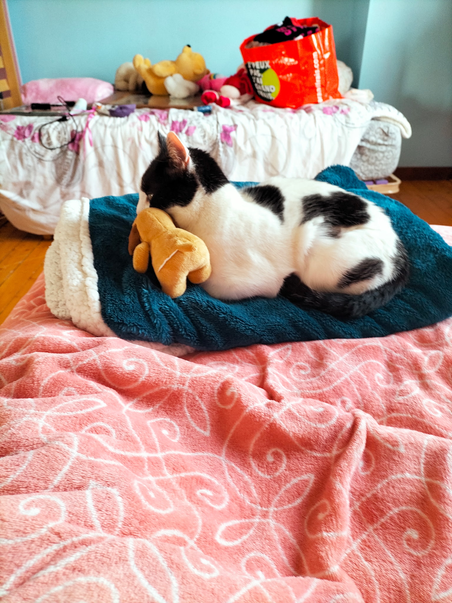 Lalie regarde la télé.