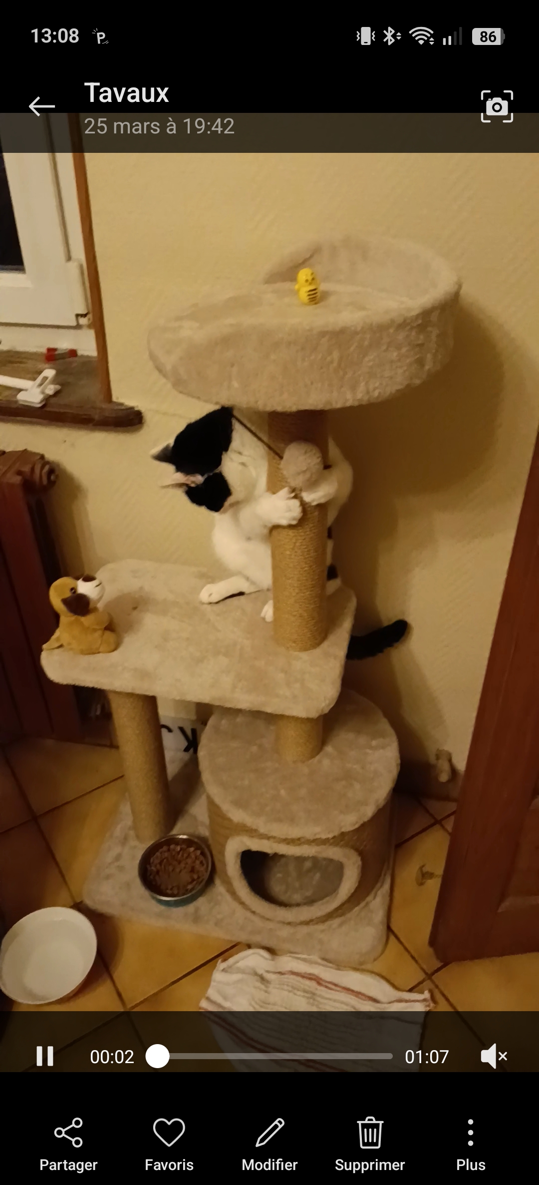 Lalie regarde la télé.