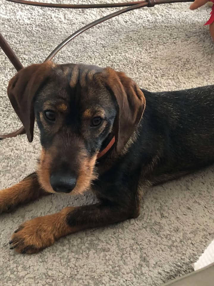 Des nouvelles de Murphy.