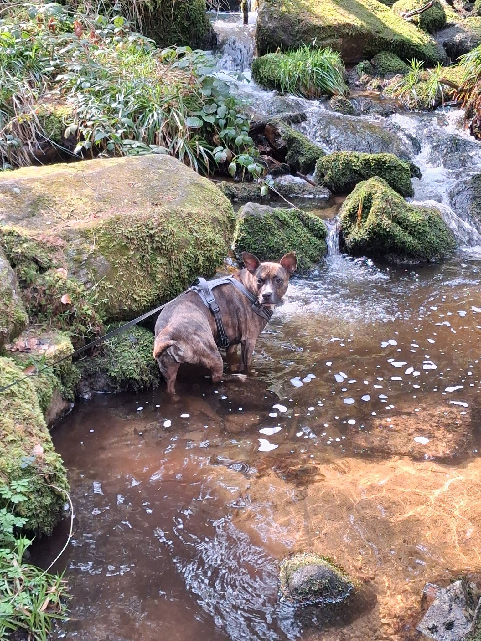 Des nouvelles de Timy