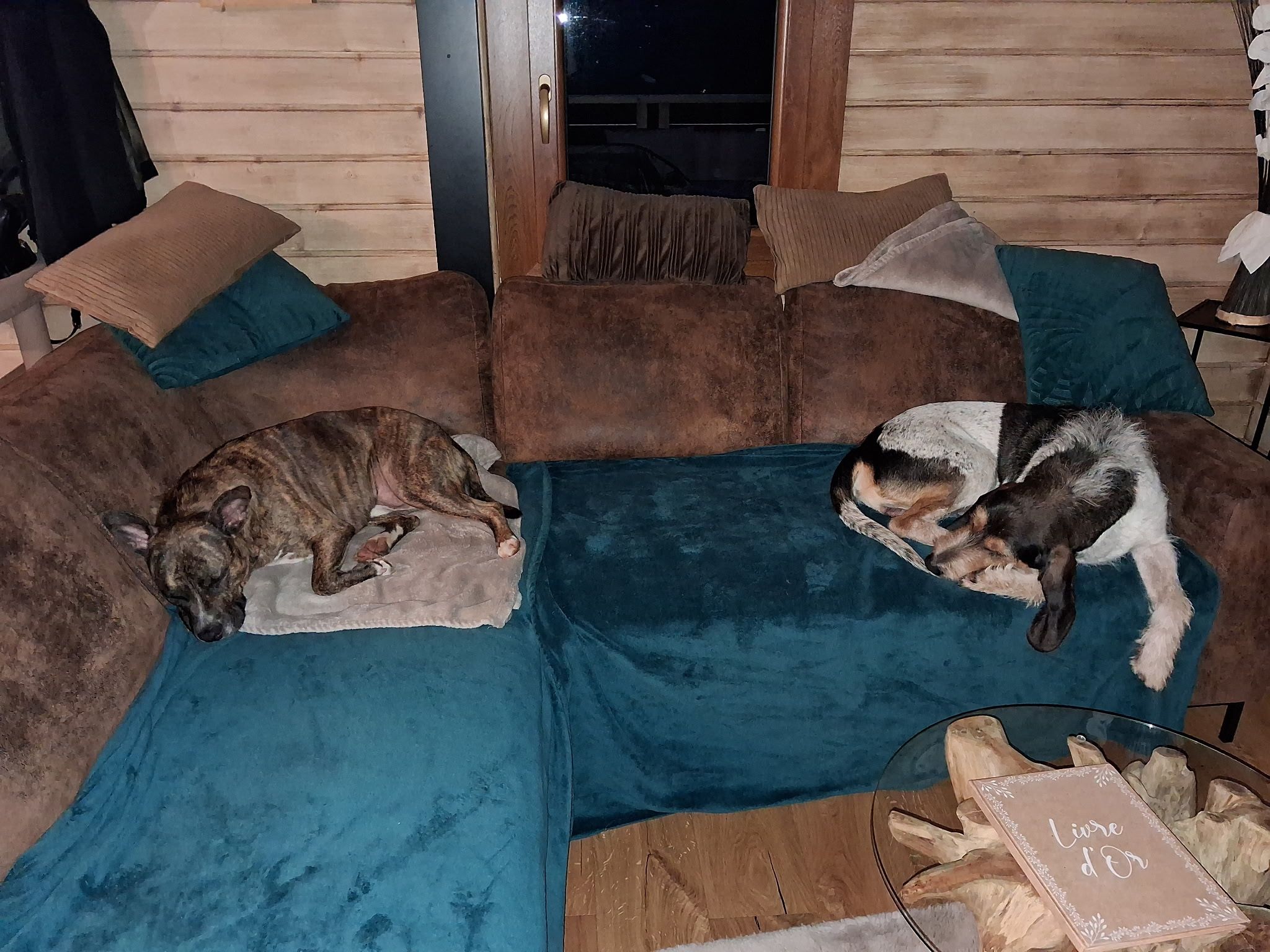 Des nouvelles de Timy