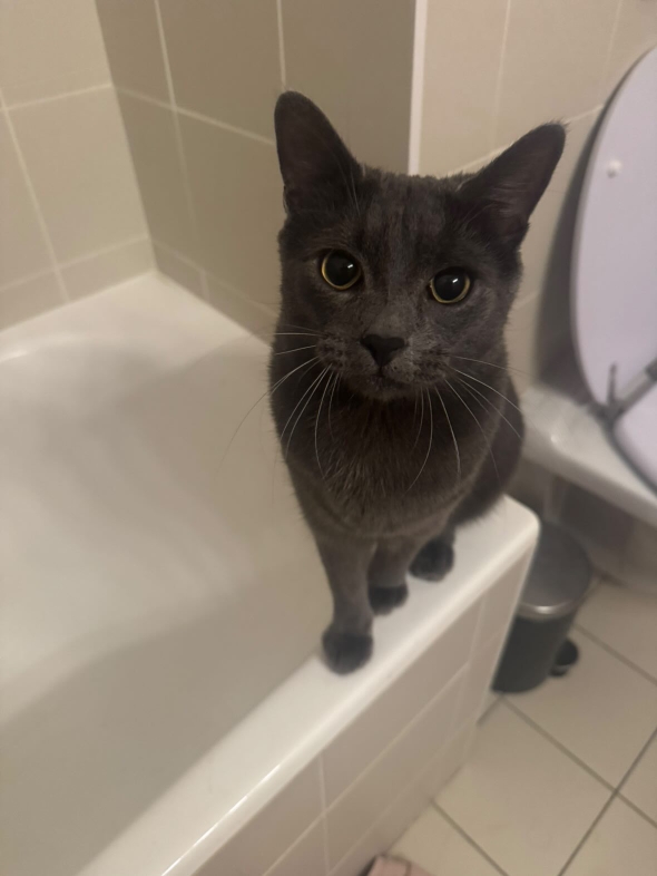 Des nouvelles de Villy