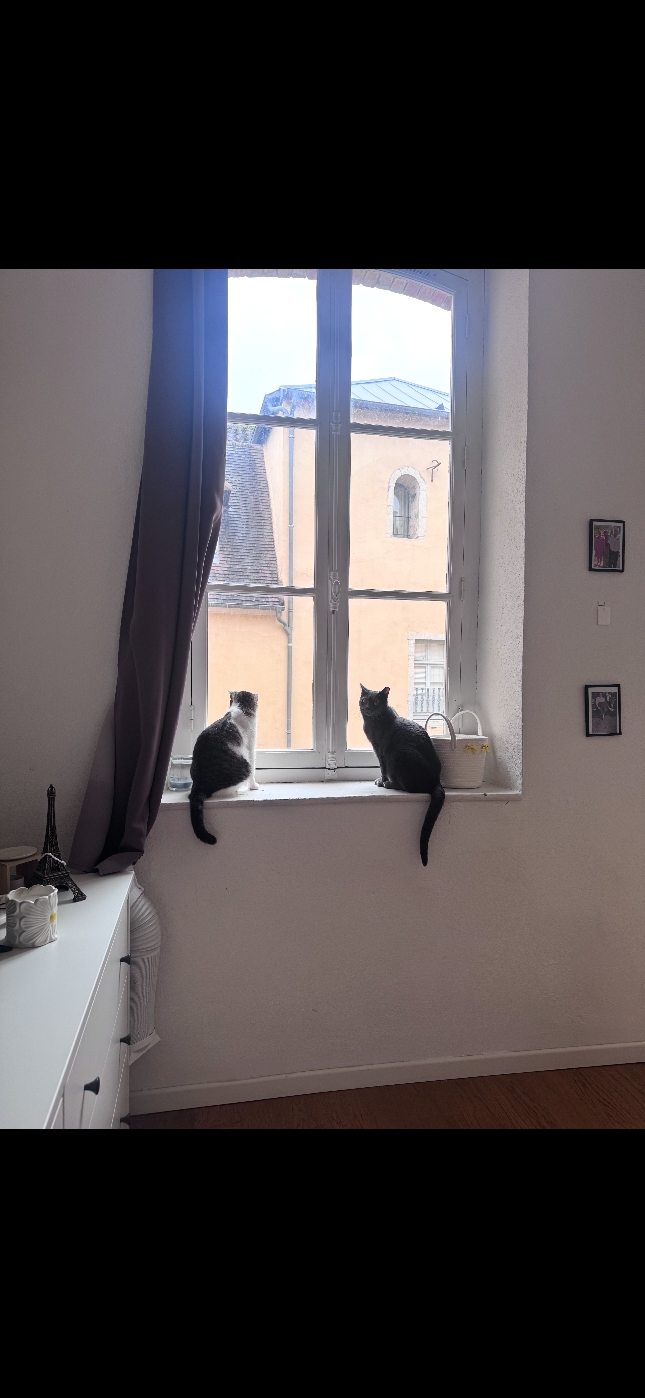 Des nouvelles de Villy