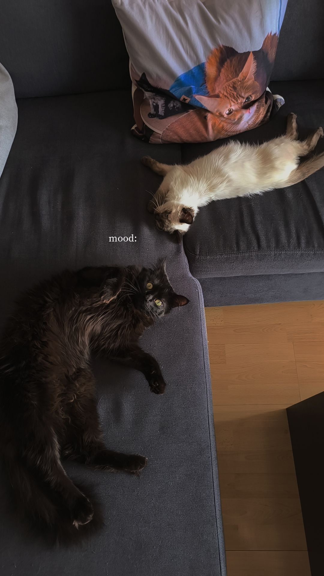 Des nouvelles de Vilson