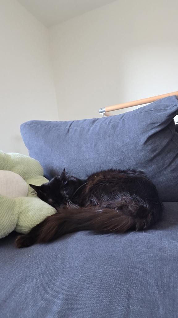 Des nouvelles de Vilson