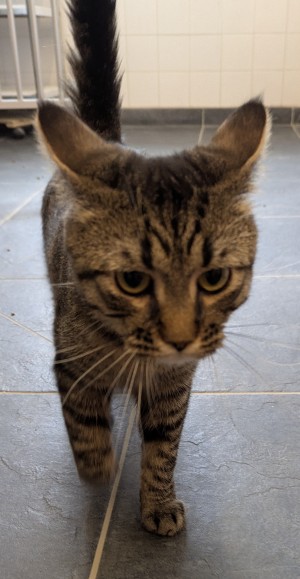 Photo ZAZOU 2