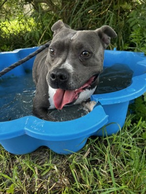 Photo RUBY 4