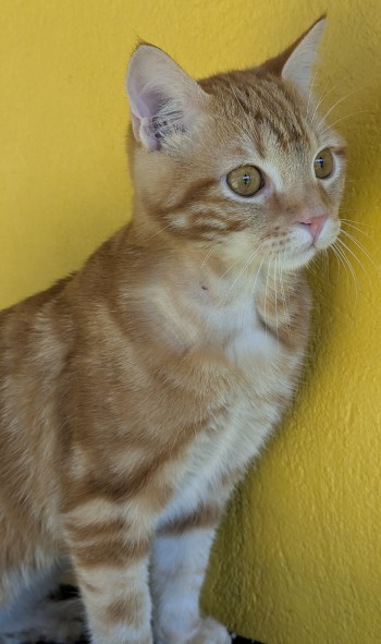 Photo KERY 3