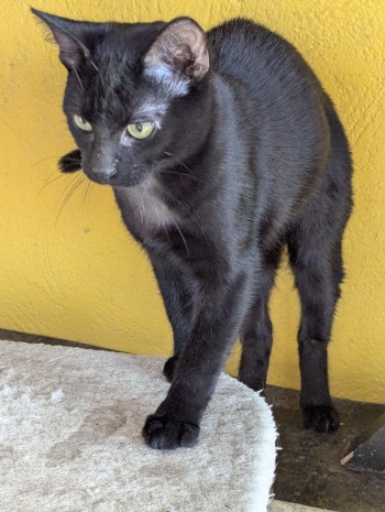Photo ARLO 2