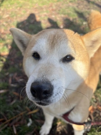 Photo SAKE 2