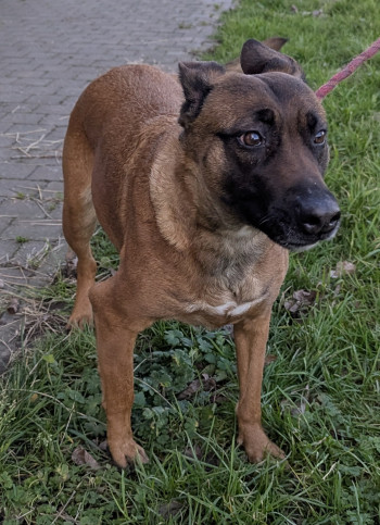 Photo ZIVA 3