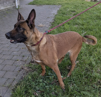 Photo ZIVA 4