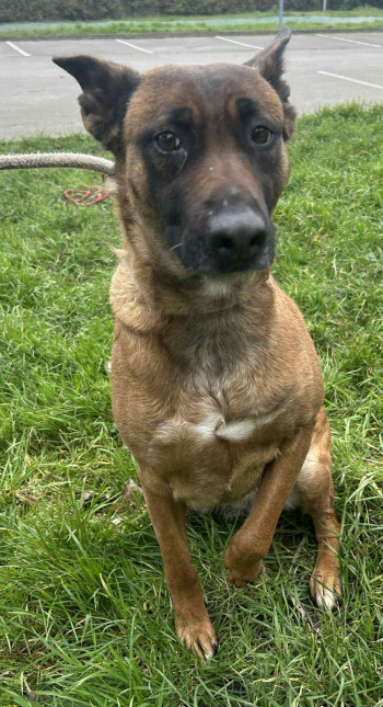 Photo ZIVA 5