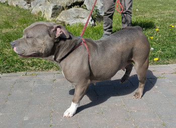 Photo XENA 4