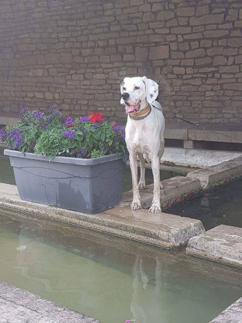 Repose en paix Hermine