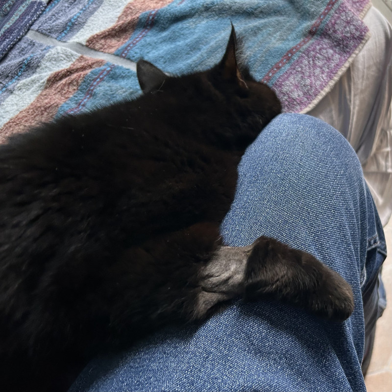 Hommage à Titou