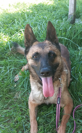 Nikita