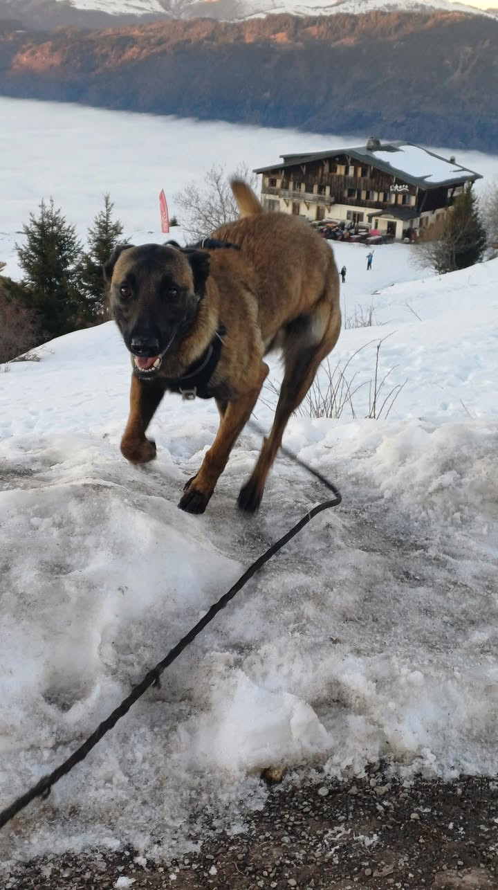 Seven et la neige