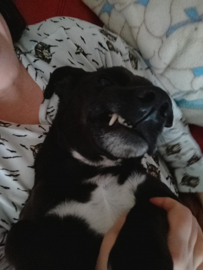 Des nouvelles de Titou
