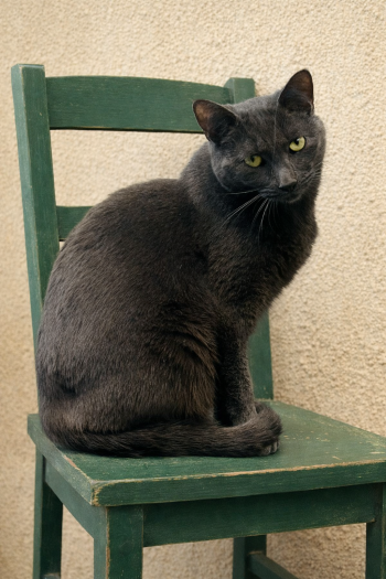 Amory