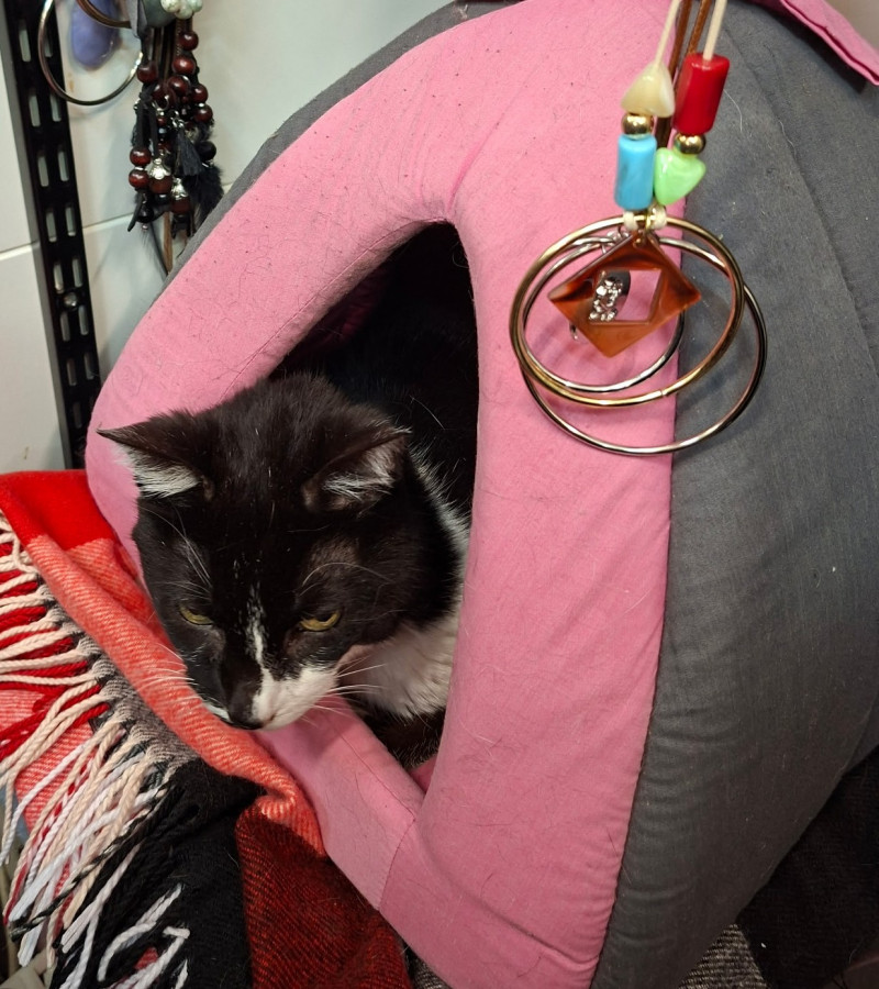 Des nouvelles de Lily et Mimine