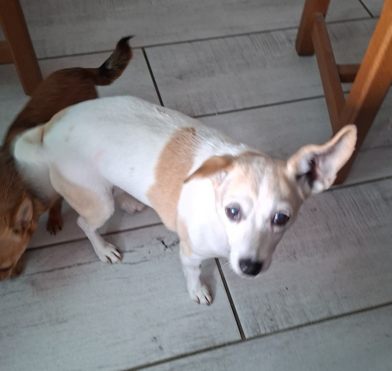 Des nouvelles de Lily et Mimine