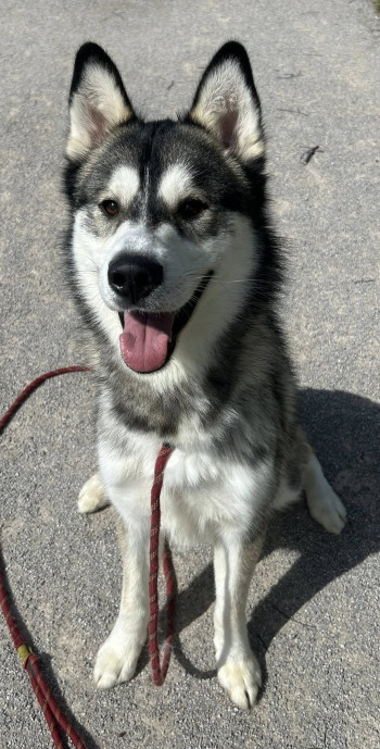 Photo ZEUS 3
