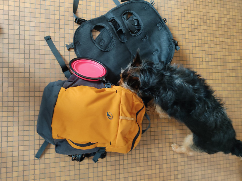 Des nouvelles de Klovis
