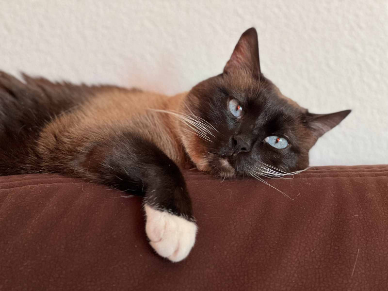 Regardez-moi bien dans les yeux