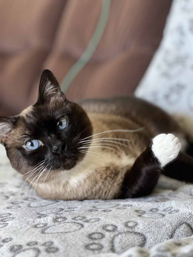 Regardez-moi bien dans les yeux