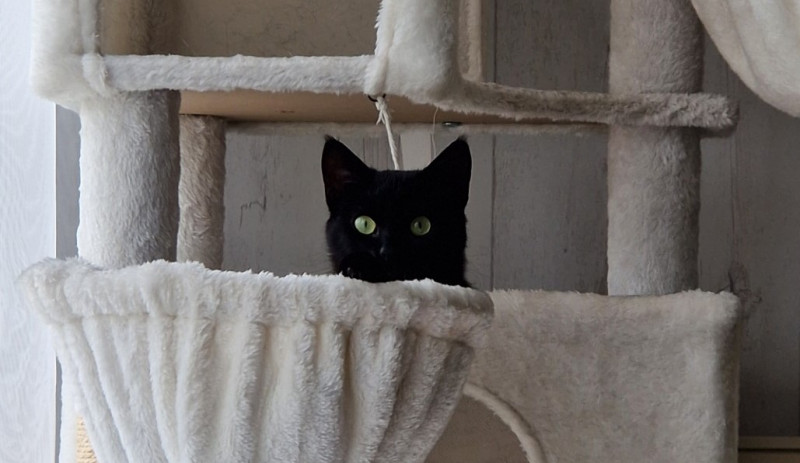 Nala toujours étonnée