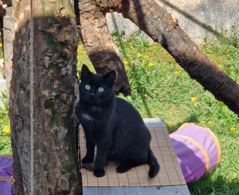 Nala toujours étonnée