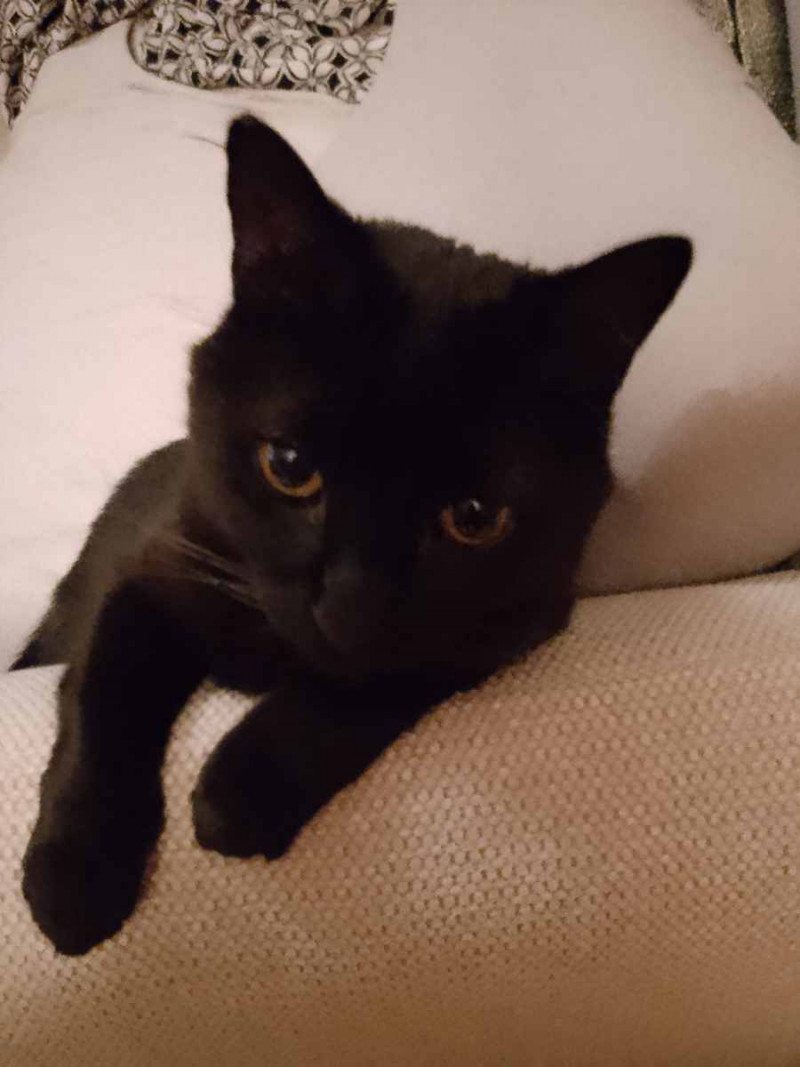 Chatou va bien