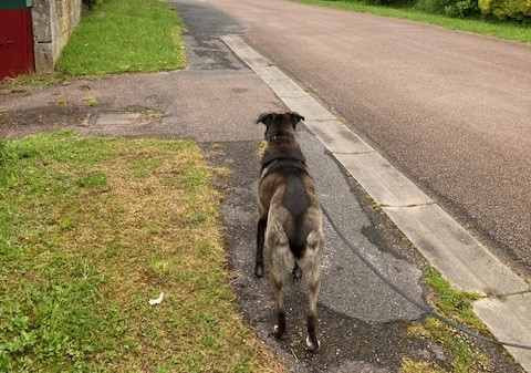 Nikita c'est parti pour l'aventure… !