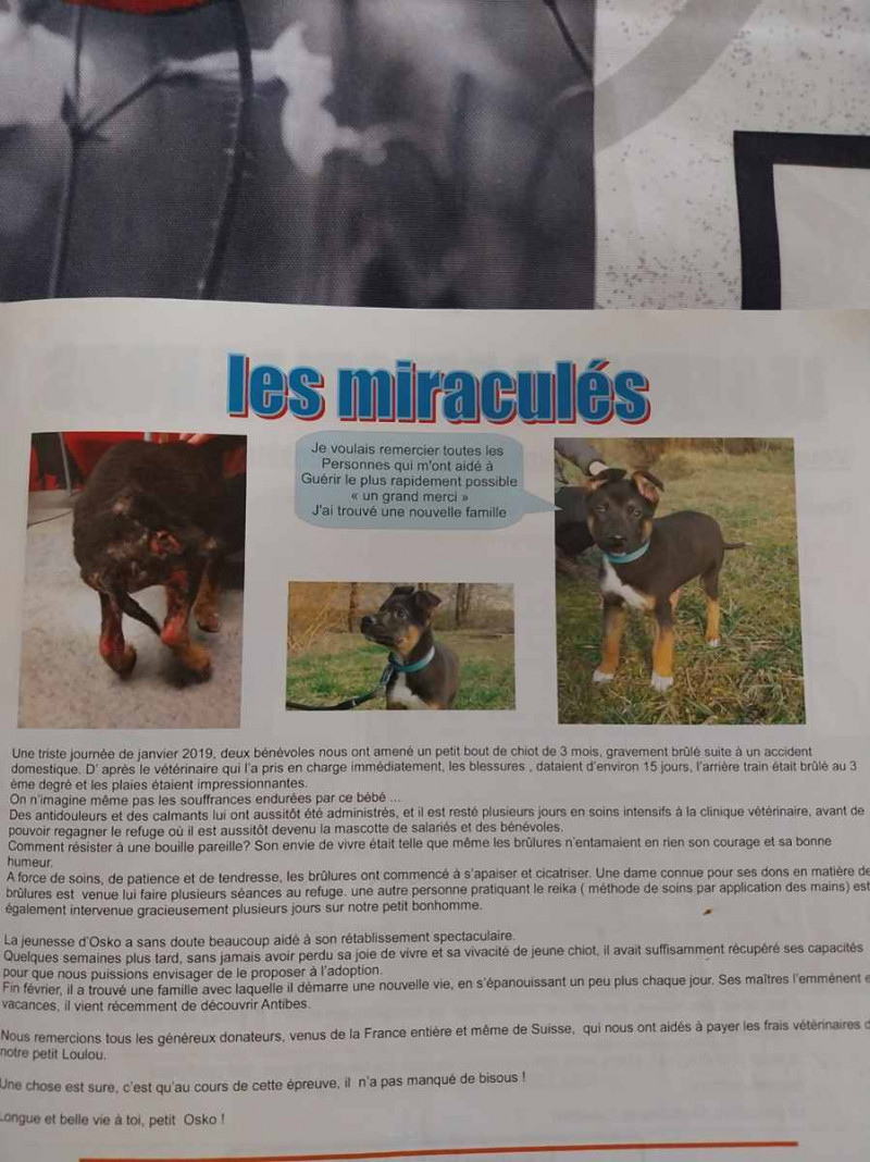 Hé oh les amis vous vous souvenez de moi ?