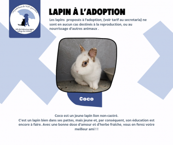 Coco