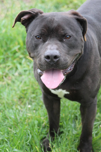 Photo SIRIUS 4