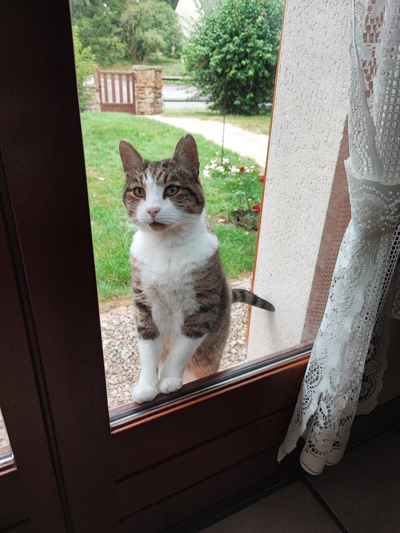 A toi Scoubidou mon petit ange