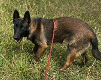 Photo EBENE 4