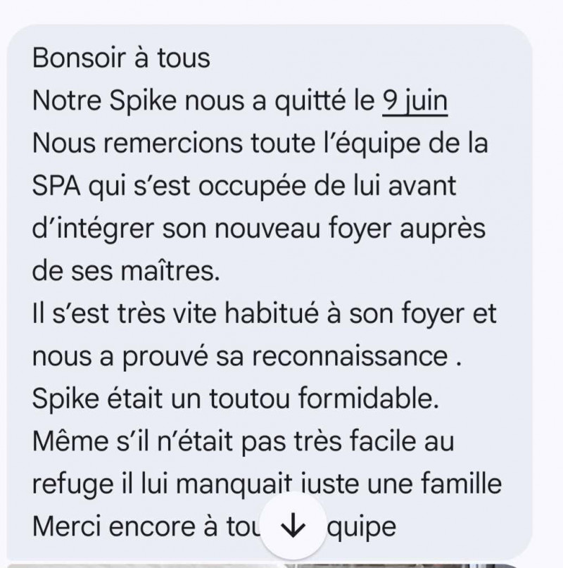 ADIEU SPIKE