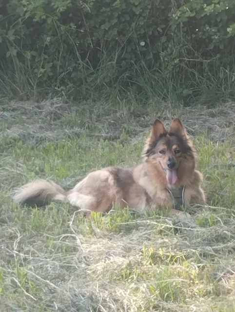 Le beau Stany